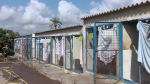 Aumentan las adopciones y dismuyen los abandonos en el albergue municipal de Torrevieja