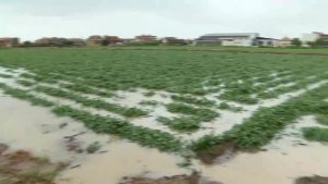 La gota fría inunda la comarca en una jornada de lluvia histórica