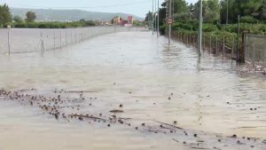 El despertar más triste de la comarca