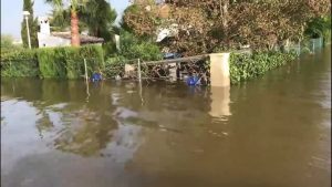 Miles de hectáreas anegadas en San Fulgencio