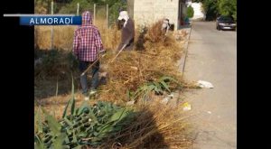 El ayuntamiento de Almoradí contrata a 35 peones agrícolas durante tres meses