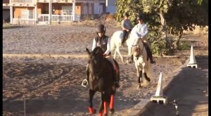 Menores discapacitados de Redován tendrán la oportunidad de hacer terapia con caballos