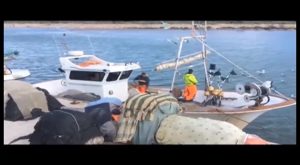 El Ayuntamiento de Guardamar potencia el sector pesquero local