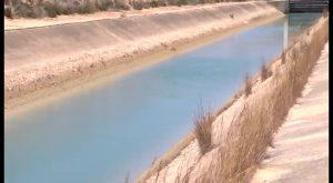 ASAJA Alicante denuncia que el trasvase de 20hm3 al río Segura llega “tarde y mal”