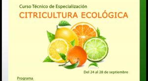 Medio Ambiente colabora con la Conselleria para ofrecer un curso de especialización en Citricultura