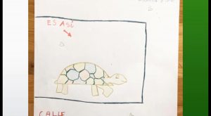 El cartel dibujado a mano por una niña de Cox buscando a una tortuga se vuelve viral