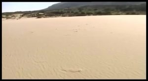 Medio Ambiente regenerará las dunas de Guardamar con un presupuesto de 1,5 millones de euros