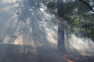 La Vega Baja, en alerta "extrema" por riesgo de incendios forestales