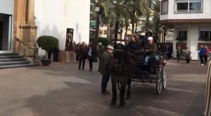 Dolores celebra la romería de San Antón y la bendición de animales