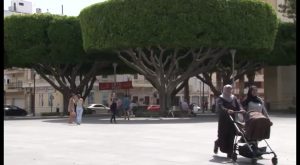 Orihuela, Almoradí y Daya Vieja participan en el Encuentro Rural Sur de Alicante