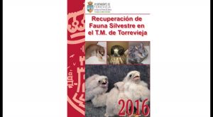 32 ejemplares de fauna silvestre, como una pitón, son recuperados en Torrevieja en 2016