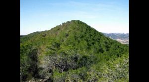 El Consell saca a exposición pública la declaración de Sierra Escalona como paisaje protegido