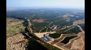 Pilar de la Horadada presenta alegaciones al decreto de paisaje protegido de Sierra Escalona