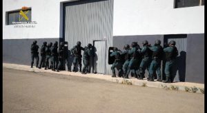 Guardia Civil ha desarticulado en la Vega Baja un entramado dedicado al cultivo y tráfico de drogas