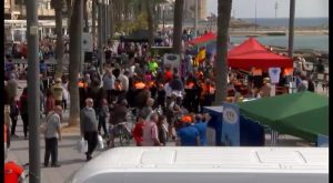 Torrevieja se vuelca con la feria de ONGs por una buena causa