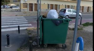 Generalitat deja sin servicio de recogida de basuras a la Cofradía de Pescadores de Torrevieja