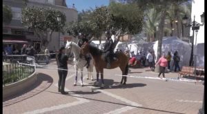 Dolores presenta su nueva unidad ecuestre de la Policía Local