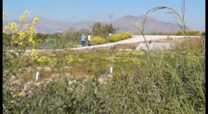 Puesta en valor de la huerta en Bigastro