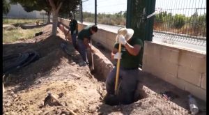 Alumnos de jardinería realizan prácticas en el entorno del polideportivo de Rafal