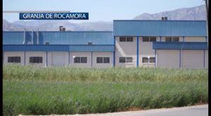 Tres heridos tras desplomarse el falso techo de un matadero en Granja de Rocamora