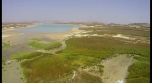 El Embalse de la Pedrera es el pantano de la que menos agua recibe del Trasvase