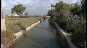 Podemos y Queremos Guardamar exigirá la limpieza del cauce del Segura