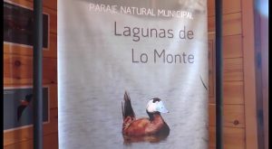 Las Lagunas de lo Monte de Pilar de la Horadada ya son accesibles