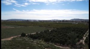 Los agricultores reciben las últimas precipitaciones como una bendición tras un verano agónico