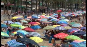 Un hombre intenta secuestrar a una niña en pleno paseo de Torrevieja