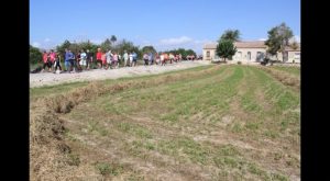 Éxito de participación en la nueva edición de la ruta de la huerta histórica de Rojales
