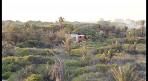 Arden 1,5 hectáreas de la pinada de Guardamar en un incendio "presuntamente intencionado"