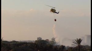 Arden 400 metros cuadrados de pinos y palmeras en el séptimo incendio en Guardamar