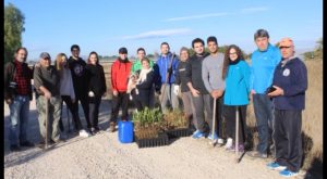 Plantan 400 árboles en Guardamar para recuperar el bosque de ribera del río Segura