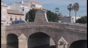 Descubren en Rojales los restos de un antiguo puente de madera situado sobre el río Segura