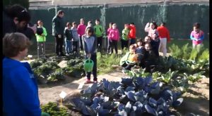 Medio Ambiente impulsa a la consolidación del colegio de Hurchillo como “Ecoescuela”