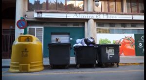 Torrevieja, Orihuela y Guardamar: los municipios que más reciclan