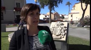 El nuevo escudo de Orihuela cuenta con hasta quince propuestas que se podrían convertir en posibles