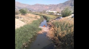 Medio Ambiente procede a la retirada de cañas y envases en el río a la altura del puente de Salesas