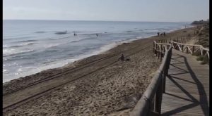 25 banderas azules para las playas de la Vega Baja