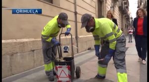 La campaña para el control de plagas en Orihuela se intensifica ante la llegada del verano