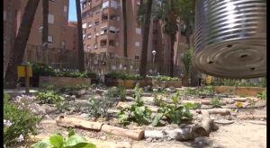 Se inaugura el primer huerto ecológico poético de la comarca en el IES El Palmeral