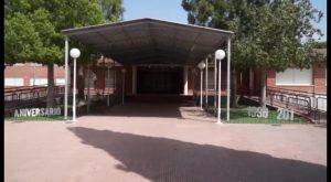 15.277 alumnos se han sumado al programa "A menjar sa" en la Vega Baja