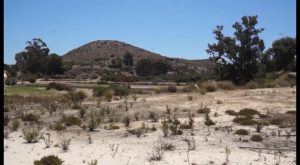 Rojales celebra el rito de subida al Cabecico Soler y esperar la aparición de la Encantá