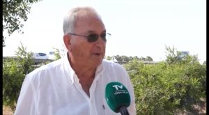 La huerta de la Vega Baja goza de buena salud según ASAJA, con agua suficiente para regar este año