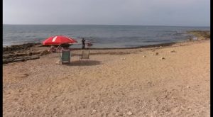 Nuevo mobiliario instalado en las playas para perros ha sido arrancado y arrojado al agua