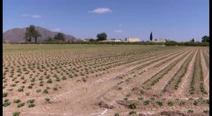 ASAJA exige al nuevo Gobierno de España que deje de avivar la sucia guerra del agua