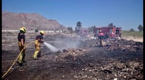 La Vega Baja registra dos incendios de cañar y vegetación en menos de 24 horas