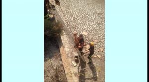 Rescatan en Benijófar a un perro que había caído a una balsa de 8 metros sin agua