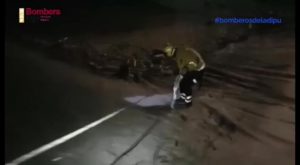 Los bomberos rescatan en Algorfa a dos perros de caza que habían caído a una balsa vacía