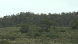 El Consell declara paisaje protegido la Sierra Escalona y su entorno